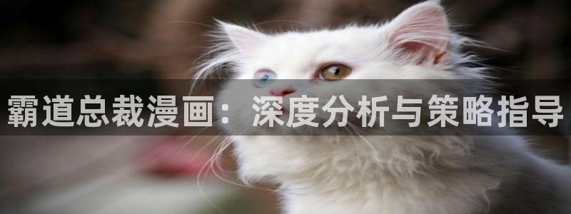喵趣漫画2026(新版本)